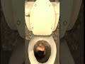 Skibidi Toilet 7 REVERSED