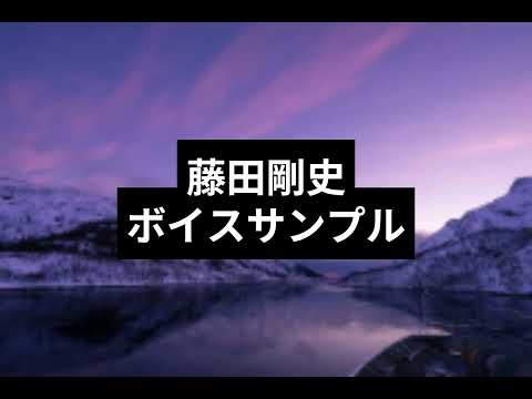 あなたの大切な作品に彩りを添える声をお届けします イメージ1
