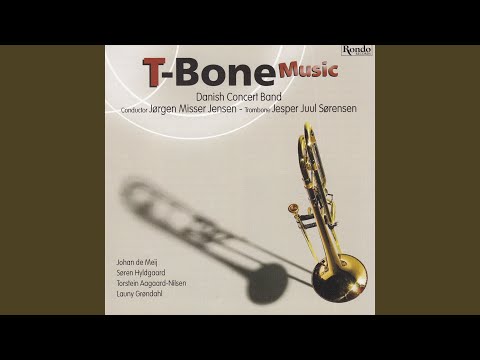 T-Bone Concerto - Rare
