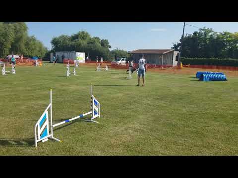 Sherlock első zsenge futam(2)