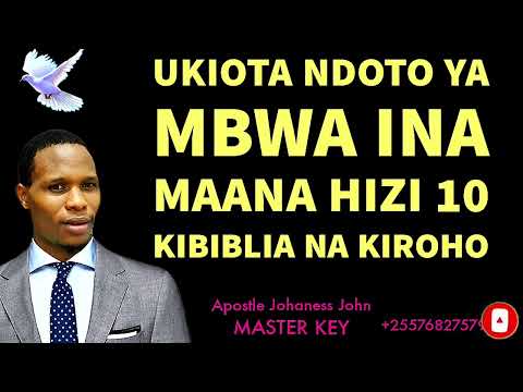 UKIOTA NDOTO YA MBWA INA MAANA HIZI 10 KIBIBLIA NA KIROHO - Apostle Johaness John