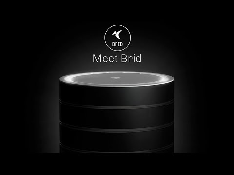 BRID Air Purifier | Revolutionary Air Cleaner With Nanotechnology