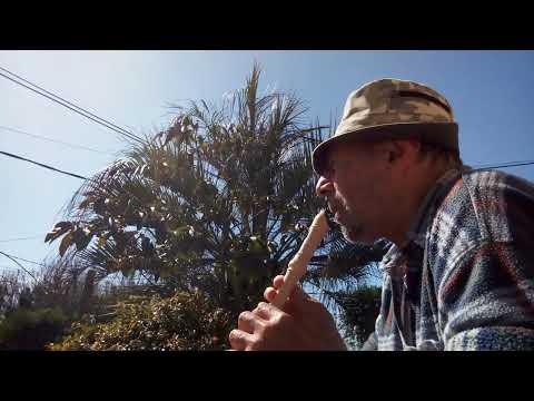 Noticierto Pasó Carrasco. La mañana del Paso.