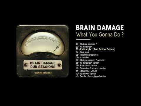 Brain Damage - #3 - Radical Plan ( feat. Brother Culture )