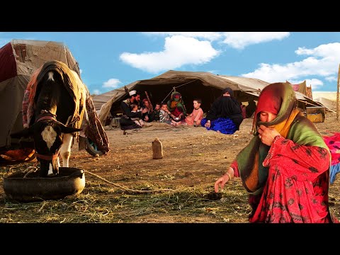 A Journey Through the World of Nomadic People | Kochi People in Afghanistan