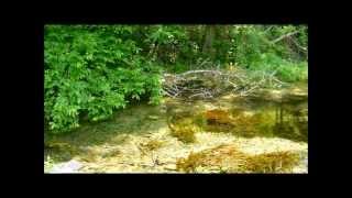 Spring Creek Journey