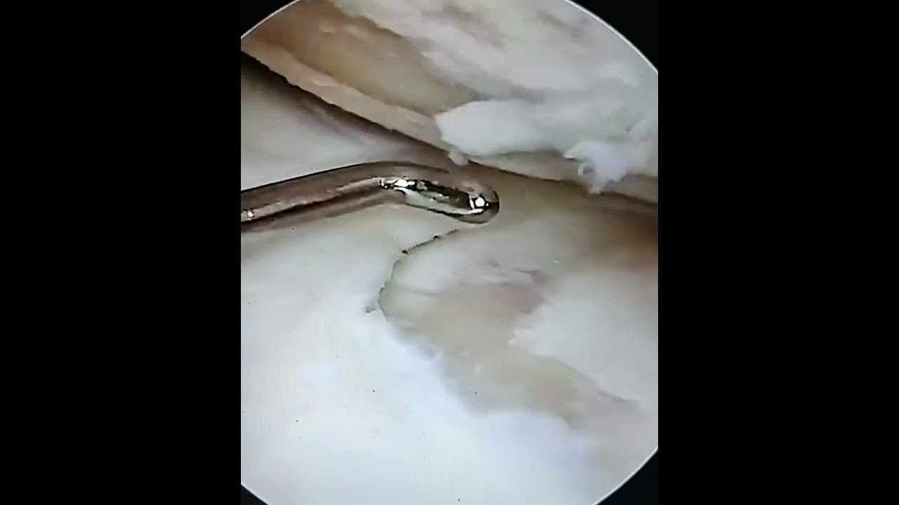 Paweł Urbanowicz-11