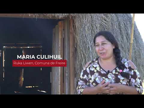 Ruka Liwen - Freire - Región de La Araucanía