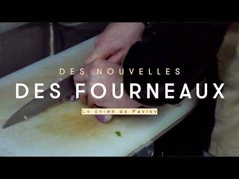 Des nouvelles des fourneaux - Le Chien de Pavlov