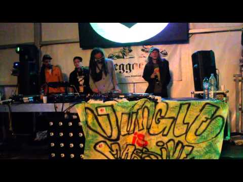 Jah Love Soundsystem - Reggaeland 2014 ICTUS