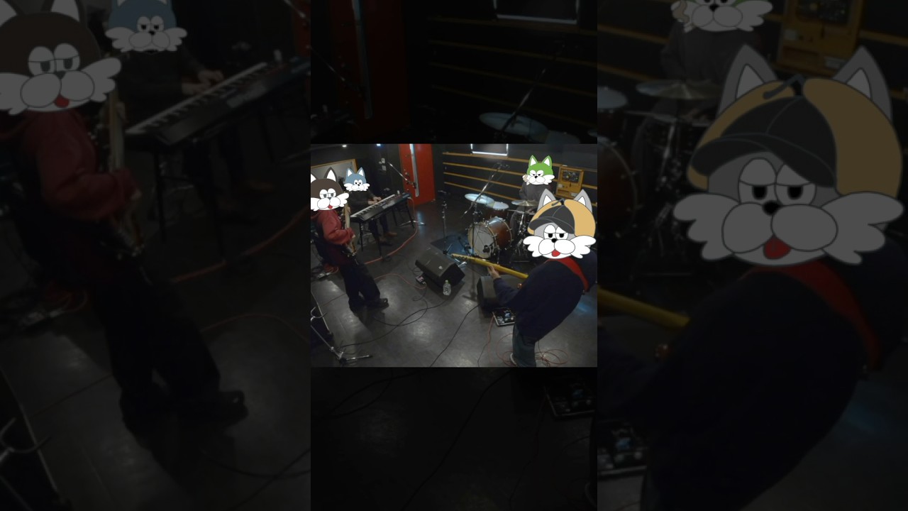 スタジオ一発撮りの熱量がエグすぎた。 #BistroCatClub #shorts #フリーbgm