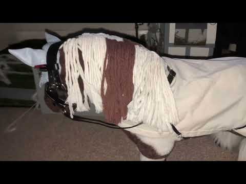 MORNING ROUTINE WITH THE MINI LEMIEUX PONYS {sunrise forest hack}