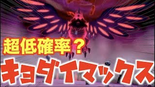【激レア】低確率？巨大マックスポケモン捕獲！ポケモンソードシールド