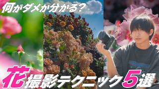 あなたは出来てますか？花撮影テクニック5選！【カメラ】