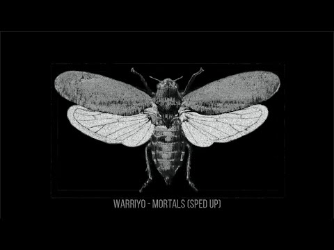 Warriyo - Mortals (Sped up)