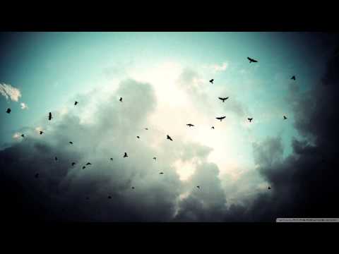 Tomas Dvorak - The Sea