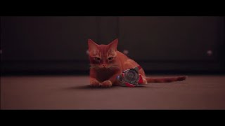 Stray #13 end