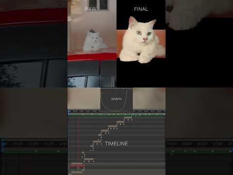 Thumbnail for Behind the scene White Car Edit #cat #edit #shorts by Car edit