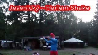 preview picture of video 'Jesenický Harlem Shake (LT Sluníčko)'
