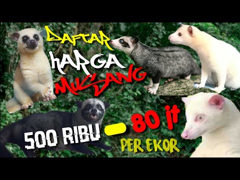 , title : 'DAFTAR HARGA MUSANG'