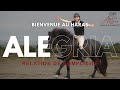 Alegria Relation de Complicité | Allevatori cavalli > Allevatori, Cavalli per  ricreazione 