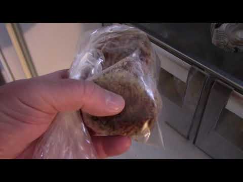 MongoTV_2289 - NETTO Haul 63 Kroner - God TIRSDAG