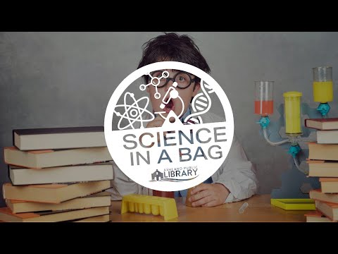 Science in a Bag: Static Electricity