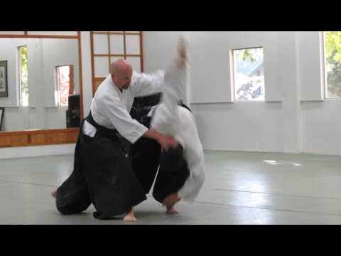 This is Aikido at Best Martial Arts Institute