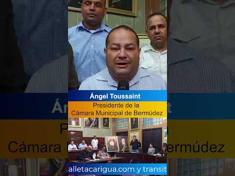 Nueva Cámara Municipal de Bermúdez realiza primera sesión ordinaria