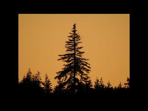 Take my true love by the hand (Limeliters cover)