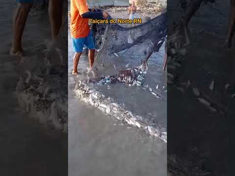 Pelas trilhas do RN. Praia de Caiçara do Norte