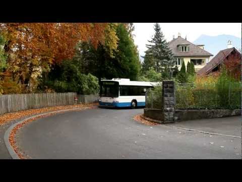 Verkehrsbetriebe Luzern: Linie 10