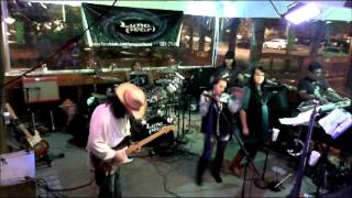 Luna Pearl     Little Wing