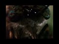 SpongeBob SquarePants Wormy But It S Only The Wormy Close Ups