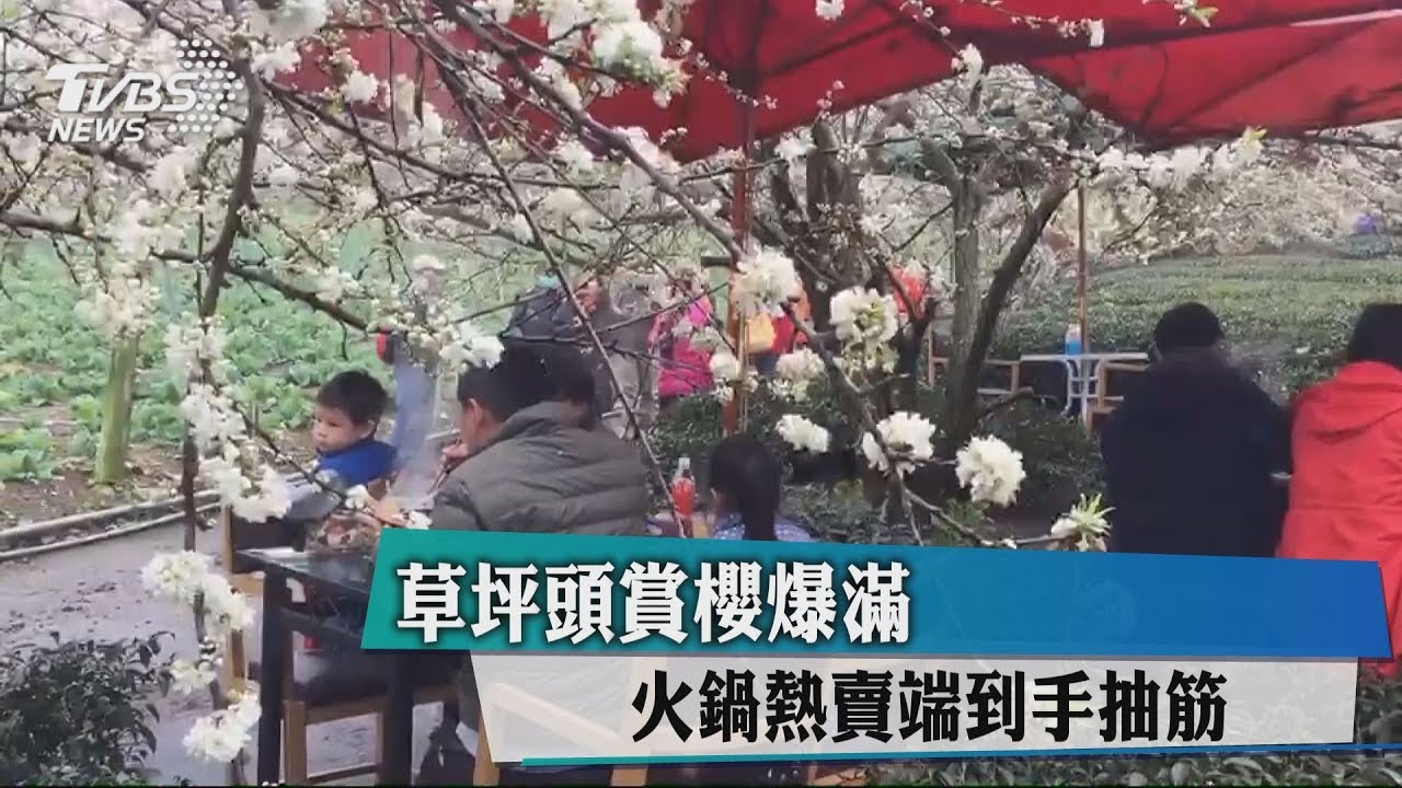 草坪頭賞櫻爆滿　火鍋熱賣端到手抽筋