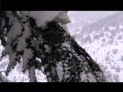 ONDA TG 9.11.2013 - FRANCOBOLLO SCANNO