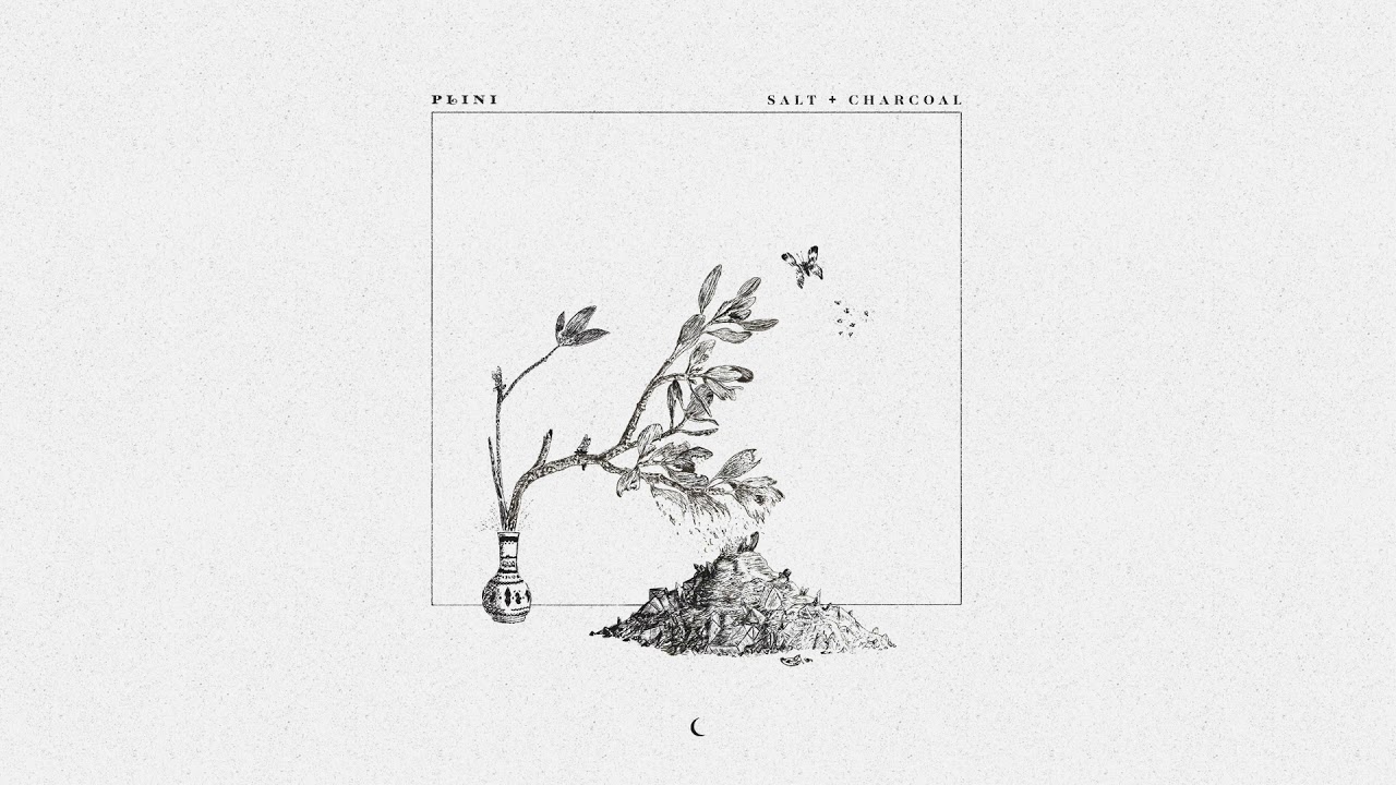 Plini â€“ Salt + Charcoal (Audio) - YouTube