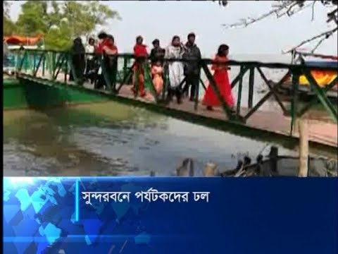 নতুন বছরের শুরুতেই সুন্দরবনে ভ্রমণপিপাসু পর্যটকদের ঢল | ETV News