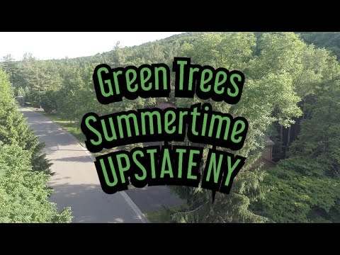 Green Trees Upstate New York Drone Footage June 2018 (Shot on DJI Phantom 4 Pro)