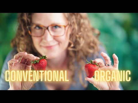 Debunking the Dirty Dozen | Why Organic AND Conventional Produce is Healthy
