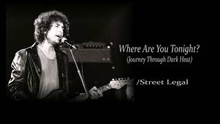 Bob Dylan - Where Are You Tonight ( Journey Through Dark Heat)