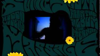 Sonic Youth - Massage the History