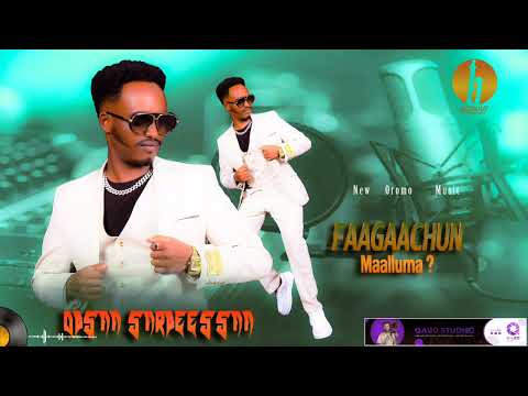 Obsaa Sarbeessaa (Fagaachun Maalluma?)  New oromo music (2025)