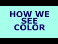 How WE See Color