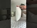 Puredown 2 Pack Feather And Down Pillows With Pillow In A Pillow Design