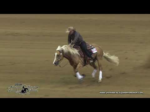 Wimpys Littlecolonel ridden by Franco Bertolani  - 2018 NRBC (Open CRI)
