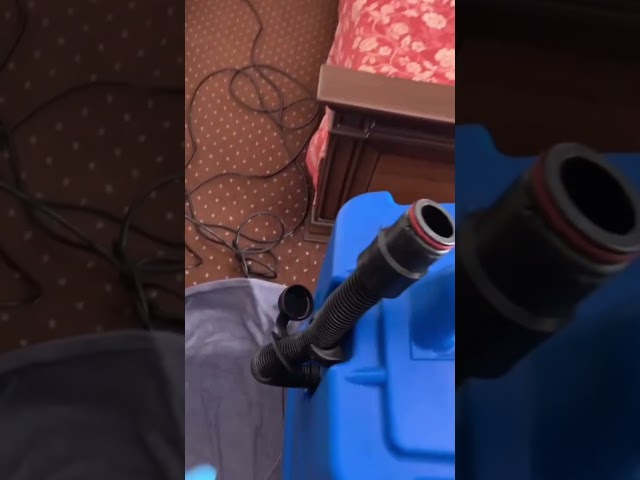 Здоровье начинается с чистоты мебели