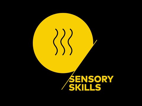 Certified SCA Sensory Skills Online!
