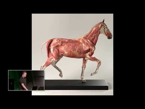 Official ZBrush Summit 2016 Presentation - Anatomy Tools