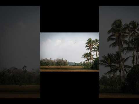 Rasika Kumudu's Photos 8 Aug & Sep  #photography #composition #photoreview